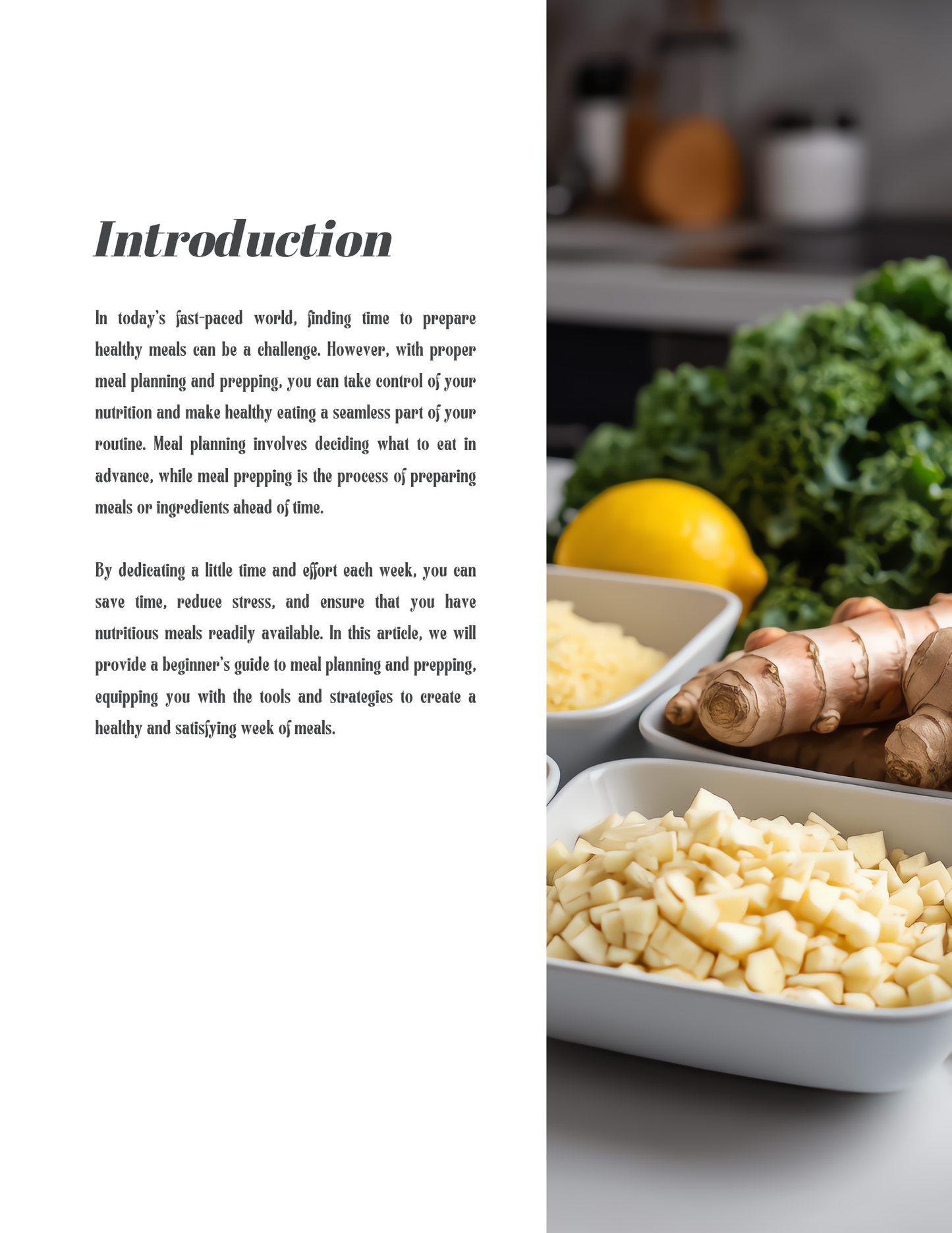 Meal planner
